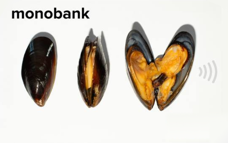 Скін Одеса. Мідії Monobank